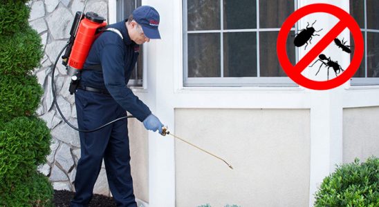 Adalar Kene İlaçlama böcek ilaçlama ve haşere kontrolü — ilaclama-tr.com